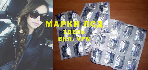 хмурый Абаза