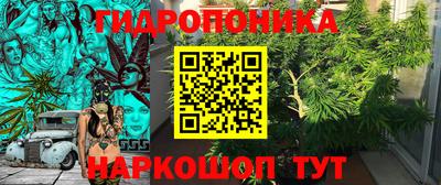 спиды Ливны
