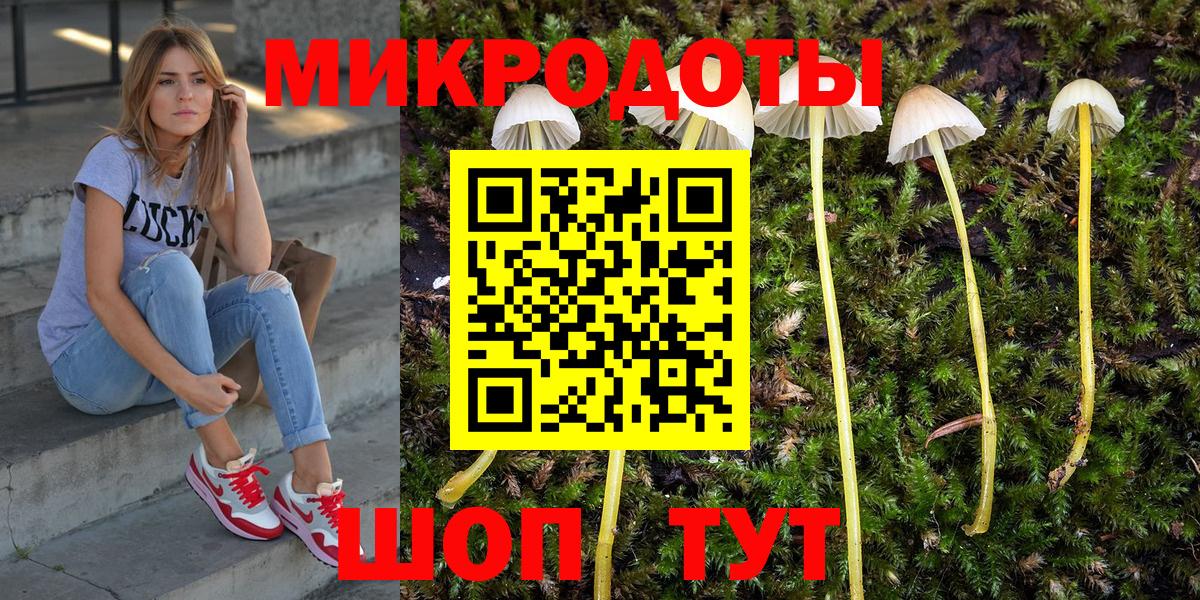 Псилоцибиновые грибы прущие грибы Грозный